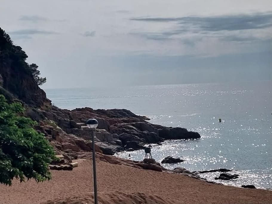 Appartamento Cala Salions Balandro II Tossa De Mar Canet De Mar Esterno foto