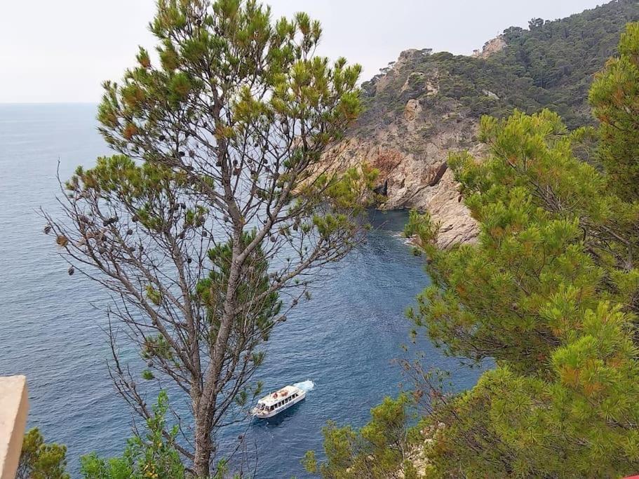 Appartamento Cala Salions Balandro II Tossa De Mar Canet De Mar Esterno foto
