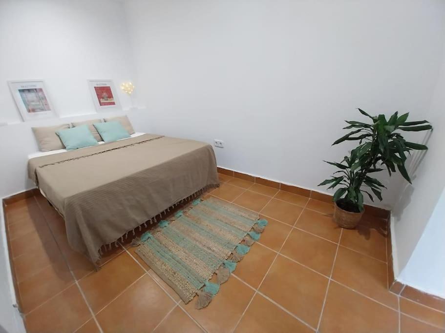 Appartamento Cala Salions Balandro II Tossa De Mar Canet De Mar Esterno foto