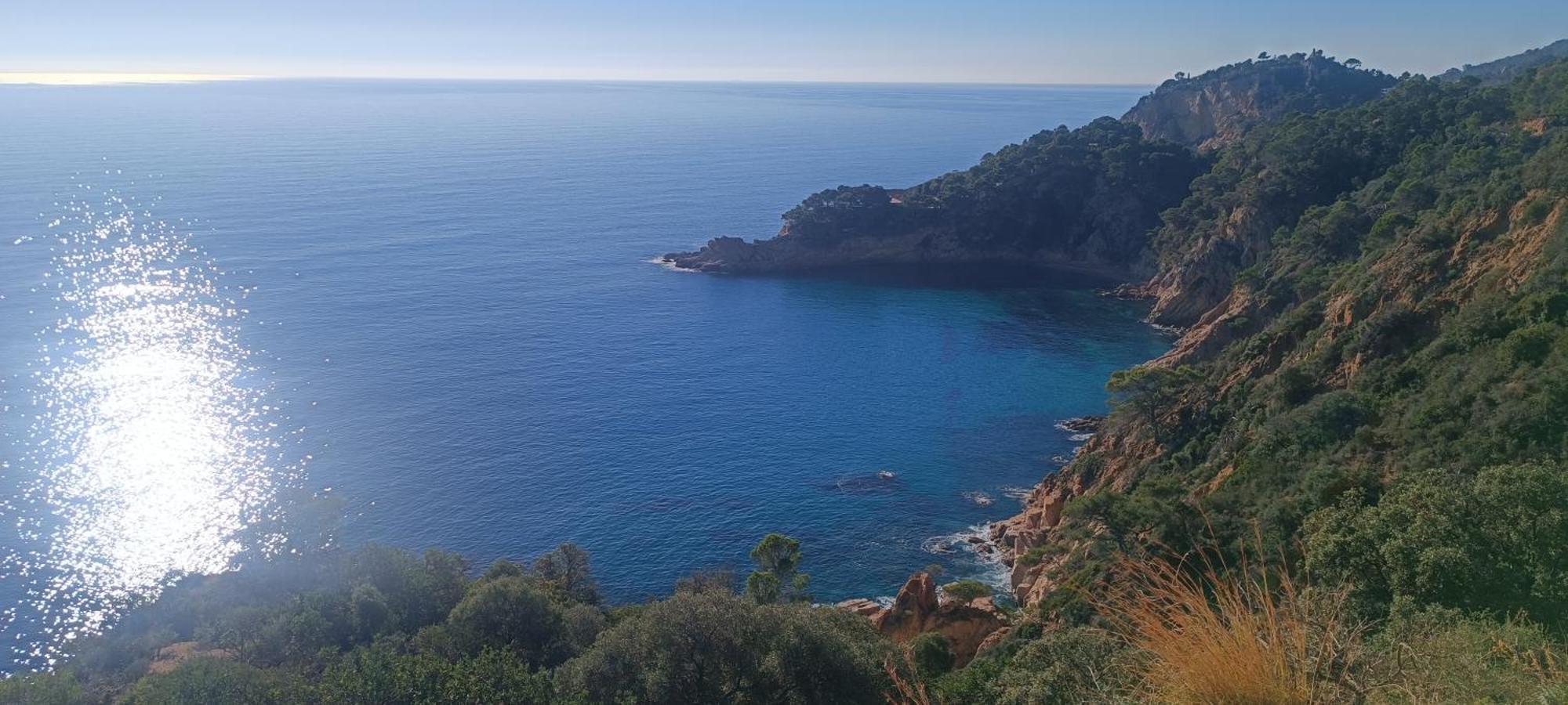 Appartamento Cala Salions Balandro II Tossa De Mar Canet De Mar Esterno foto